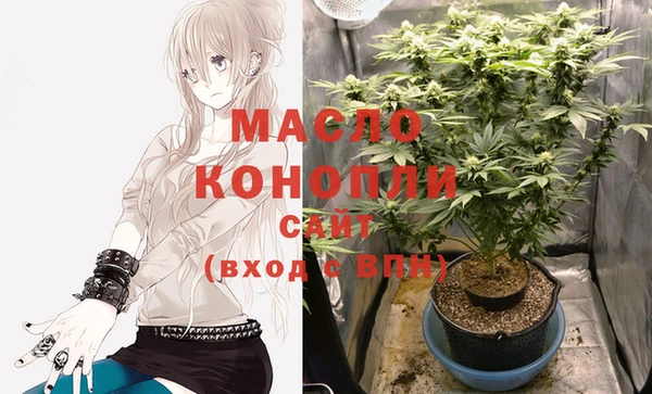 индика Майский