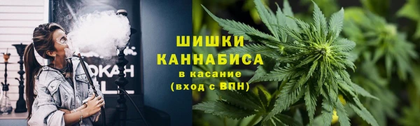 хмурый Лиски