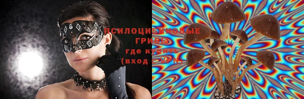 шишки Лихославль