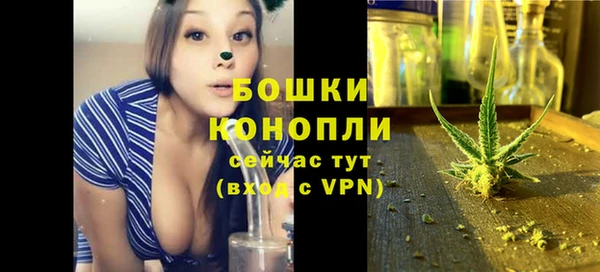 хмурый Лиски