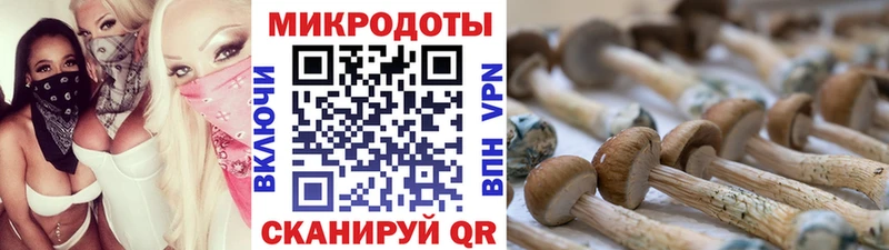 Галлюциногенные грибы Magic Shrooms Лиски