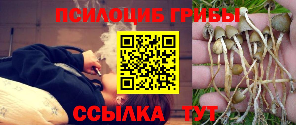 Псилоцибиновые грибы Magic Shrooms  Псилоцибиновые грибы MAGIC MUSHROOMS  Вход с VPN  Лиски 